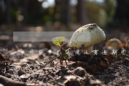 网贷多已还清没有逾期可以房贷吗