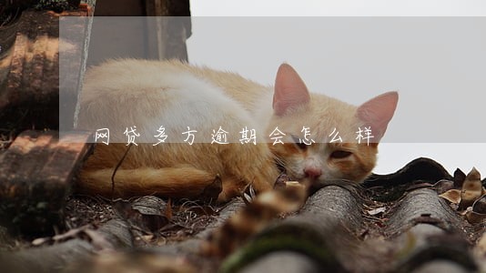 网贷多方逾期会怎么样