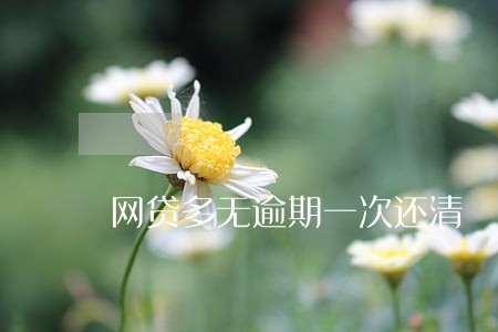 网贷多无逾期一次还清 网贷多无逾期一次还清