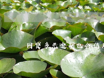 网贷多无逾期也会信用不良吗 网贷多无逾期也会信用不良吗