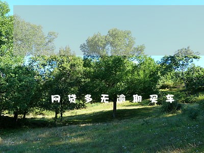 网贷多无逾期买车 网贷多无逾期买车