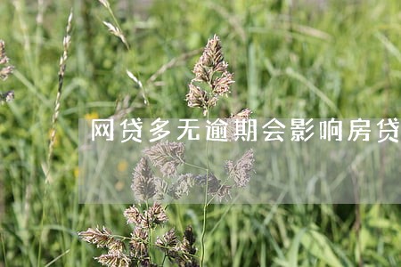 网贷多无逾期会影响房贷审批吗 网贷多无逾期会影响房贷审批吗