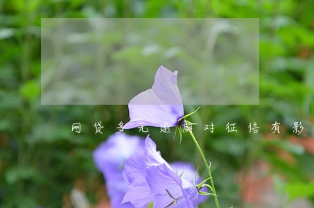 网贷多无逾期对征信有影响吗 网贷多无逾期对征信有影响吗