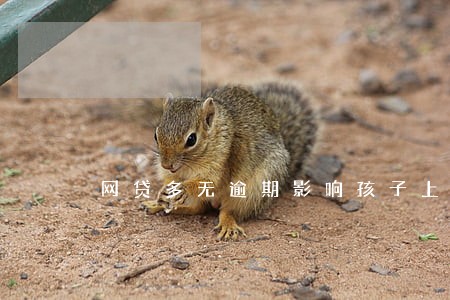 网贷多无逾期影响孩子上大学吗 网贷多无逾期影响孩子上大学吗