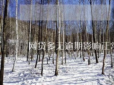 网贷多无逾期影响正常贷款 网贷多无逾期影响正常贷款