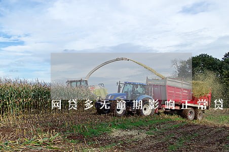 网贷多无逾期影响正常贷款吗 网贷多无逾期影响正常贷款吗