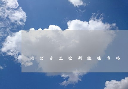 网贷多无逾期能摇号吗 网贷多无逾期能摇号吗