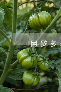 网贷多未逾期能车贷吗 网贷多未逾期能车贷吗