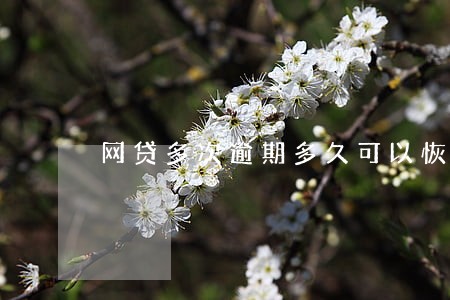 网贷多次逾期多久可以恢复 网贷多次逾期多久可以恢复