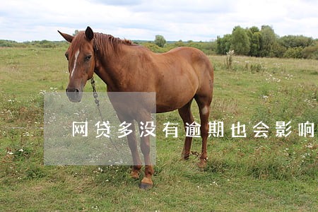 网贷多没有逾期也会影响房贷吗