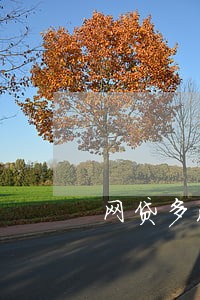 网贷多没有逾期房贷影响吗 网贷多没有逾期房贷影响吗