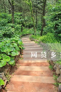 网贷多没逾期可以办房贷吗 网贷多没逾期可以办房贷吗