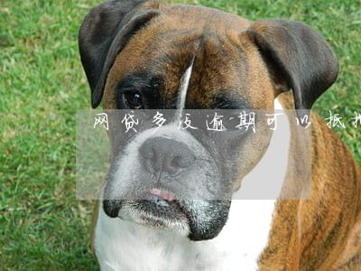网贷多没逾期可以抵押贷吗 网贷多没逾期可以抵押贷吗