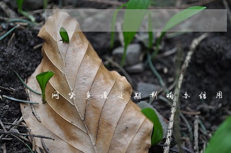 网贷多没逾期影响办信用卡吗