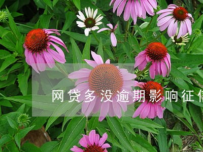 网贷多没逾期影响征信么 网贷多没逾期影响征信么