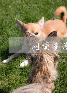 网贷多没逾期影响贷款吗 网贷多没逾期影响贷款吗