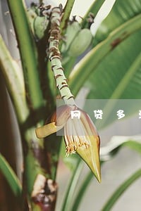 网贷多没逾期影响银行入职吗 网贷多没逾期影响银行入职吗
