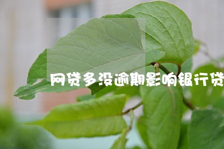 网贷多没逾期影响银行贷款吗 网贷多没逾期影响银行贷款吗