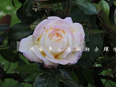 网贷多没逾期能办理信用卡吗 网贷多没逾期能办理信用卡吗
