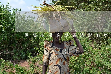 网贷多没逾期还清影响房贷吗 网贷多没逾期还清影响房贷吗