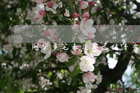 网贷多笔未逾期已结清有影响吗