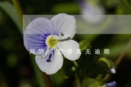网贷多负债高无逾期 网贷多负债高无逾期