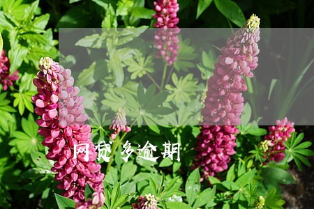 网贷多逾期 网贷多逾期
