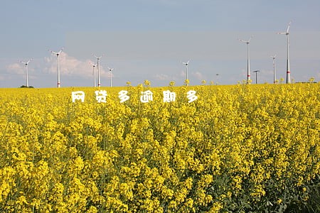 网贷多逾期多 网贷多逾期多