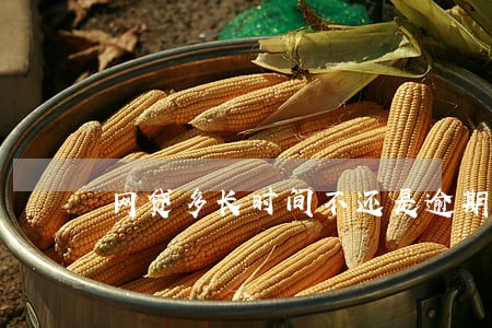 网贷多长时间不还是逾期 网贷多长时间不还是逾期