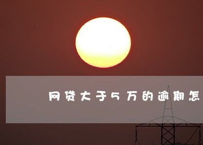 网贷大于5万的逾期怎么办