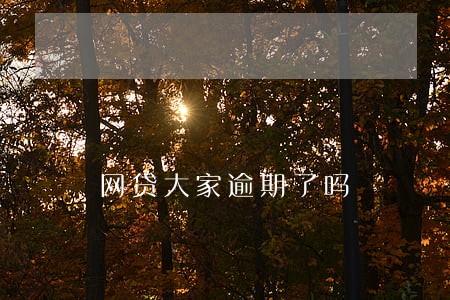 网贷大家逾期了吗 网贷大家逾期了吗