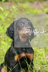 网贷大数据莫名其妙又逾期 网贷大数据莫名其妙又逾期