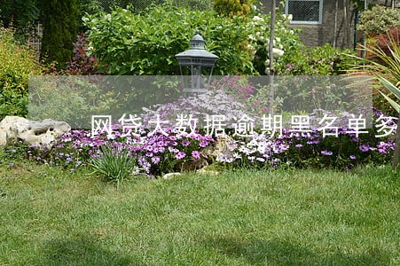 网贷大数据逾期黑名单多久 网贷大数据逾期黑名单多久