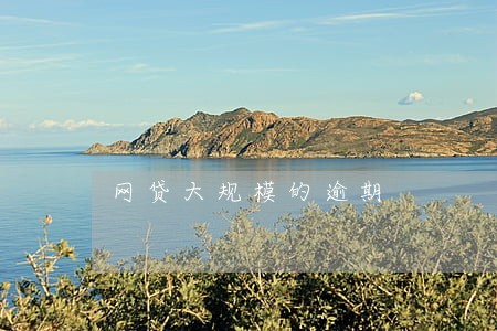 网贷大规模的逾期