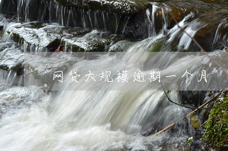 网贷大规模逾期一个月 网贷大规模逾期一个月