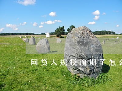网贷大规模逾期了怎么办 网贷大规模逾期了怎么办