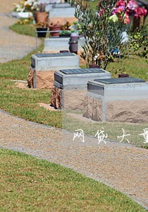网贷大量逾期无法偿还 网贷大量逾期无法偿还