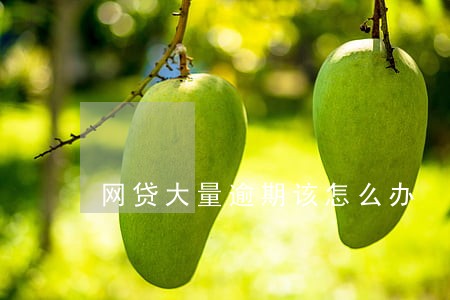 网贷大量逾期该怎么办 网贷大量逾期该怎么办