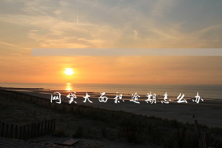 网贷大面积逾期怎么办 网贷大面积逾期怎么办