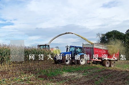 网贷大面积逾期投资人怎么办 网贷大面积逾期投资人怎么办