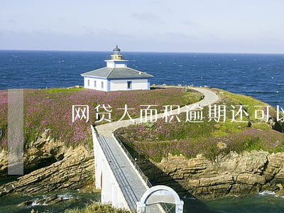 网贷大面积逾期还可以贷款吗 网贷大面积逾期还可以贷款吗
