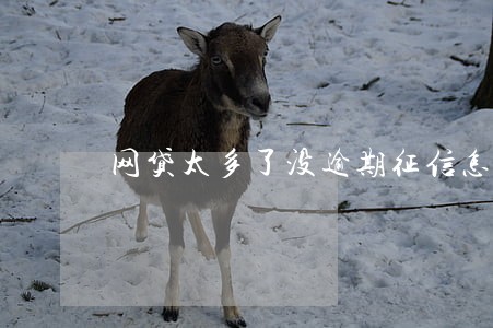 网贷太多了没逾期征信怎么洗白 网贷太多了没逾期征信怎么洗白