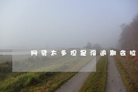 网贷太多但是没逾期会拉黑吗 网贷太多但是没逾期会拉黑吗