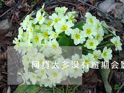 网贷太多没有逾期会影响征信吗