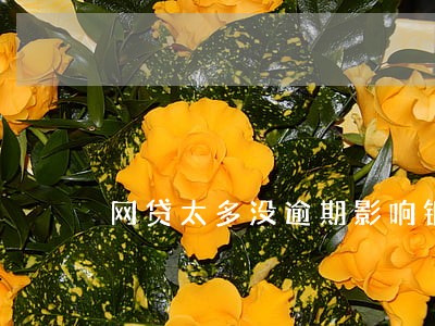 网贷太多没逾期影响银行贷款嘛 网贷太多没逾期影响银行贷款嘛