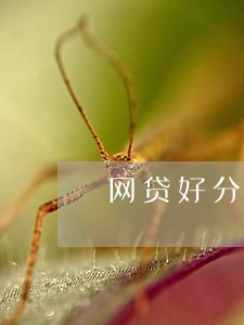 网贷好分期逾期