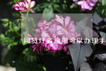 网贷好多逾期可以办理手机分期吗 网贷好多逾期可以办理手机分期吗