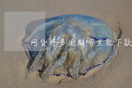 网贷好多逾期哪里能下款 网贷好多逾期哪里能下款