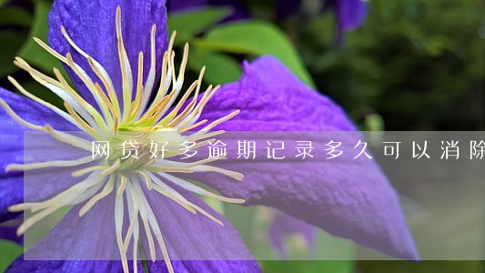 网贷好多逾期记录多久可以消除