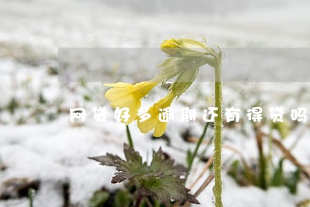 网贷好多逾期还有得贷吗 网贷好多逾期还有得贷吗